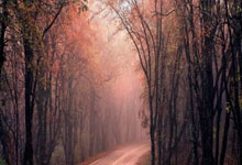 体坛名场面|世界杯生死战,上万名球迷扬言打爆中国女篮,结果遭反击.