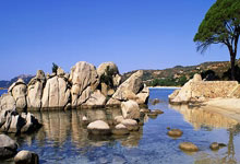 曼联夏季转会计划曝光!阿莫林欲签五名新球员,欧冠资格关乎大牌球员的命运.